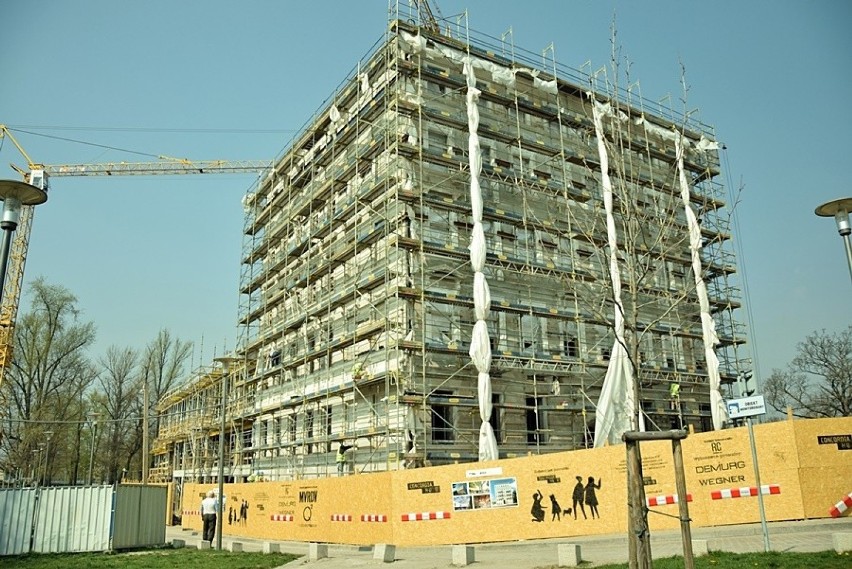 Wrocław. Zobacz, jak będzie wyglądał budynek na Wyspie Słodowej 7 (WIZUALIZACJE)