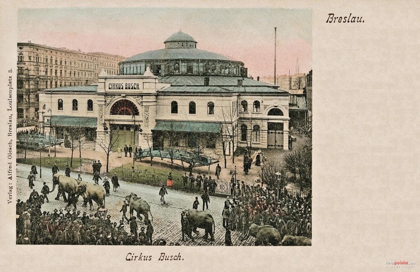 Wrocław. Zobacz zdjęcia cyrku Buscha, który został zniszczony w 1945 roku