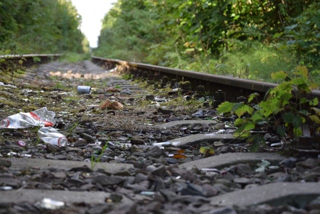 Władze gmin i powiatu sępoleńskiego walczą o przywrócenie pociągów. Obecnie w Sępólnie torowisko jest mocno zaśmiecone, zaniedbane, a  dla niektórych to miejsce spacerów