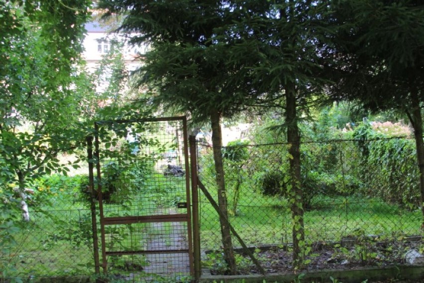 Rada odrzuciła petycję w sprawie ogródków między ul. Gdańską, Parkiem im. POW
