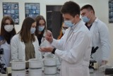 Studenci Politechniki Częstochowskiej hodują m.in. larwy, które jedzą plastik! Na swoje badania zdobyli grant
