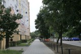 Remont ulicy Grota-Roweckiego w Łodzi [ZDJĘCIA] 