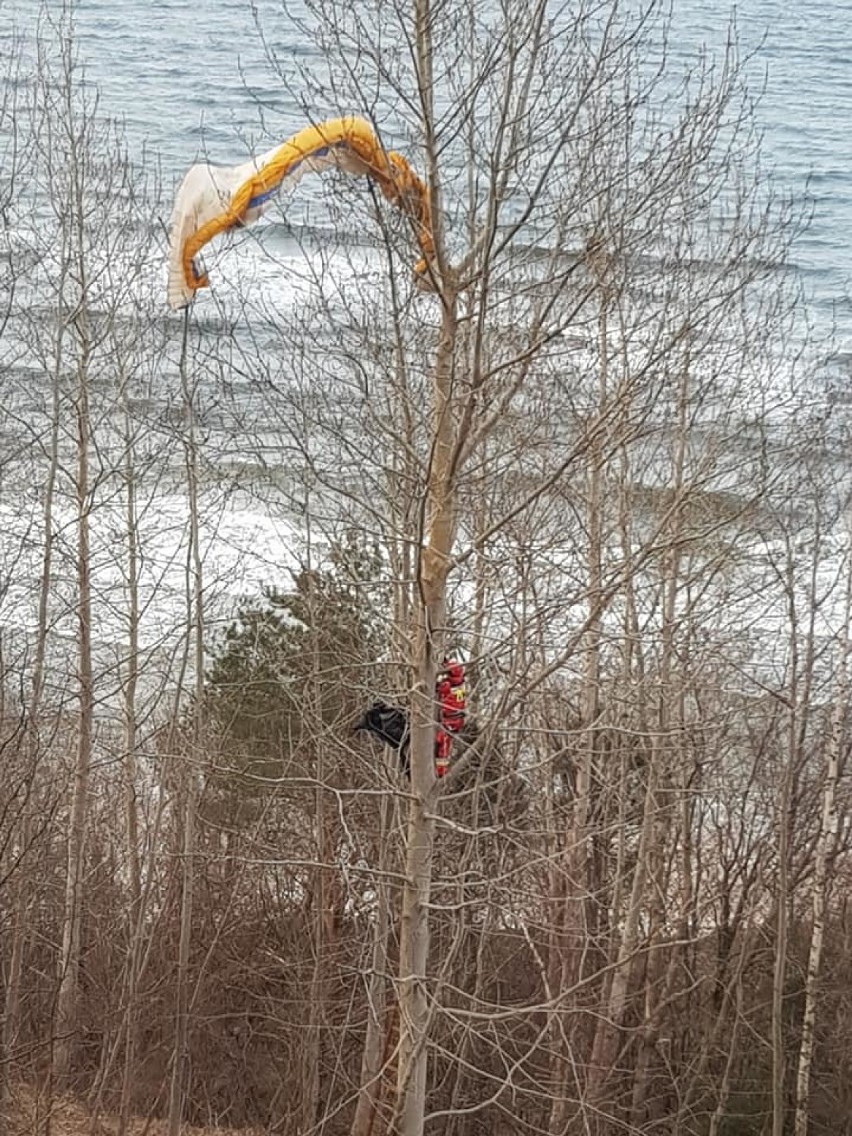 Paralotniarz na drzewie, marzec 2018