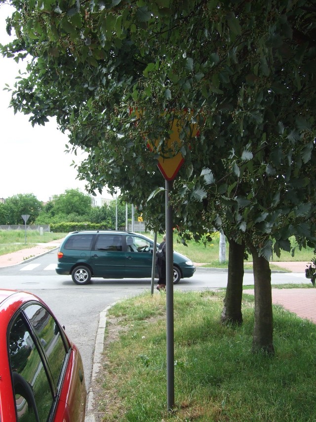 Znak przy wyjeździe z osiedla Wyszyńskiego zakryły drzewa. W Urzędzie Miasta obiecali szybko rozwiązać problem.