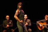 Festiwal teatralny Dialog: Życie to jest teatr i sztuka tańca flamenco