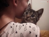 54-latek z Żywca trafił do aresztu i nie miał się kto zająć jego małym kotkiem. Na szczęście zwierzę szybko znalazło nowego opiekuna