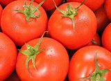 Święto pomidora- VIII Festyn Pomidorowy