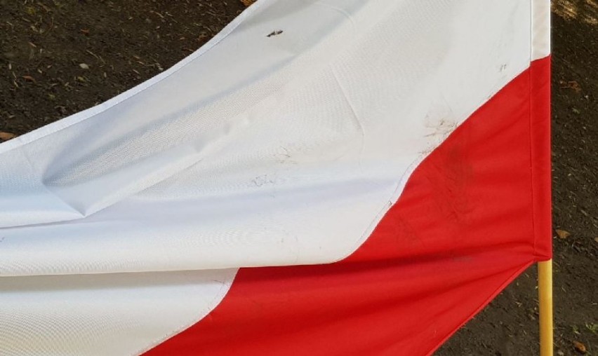 Polską flagę rzucił psom, a później podeptał. Białorusin usłyszał zarzuty w warszawskiej prokuraturze