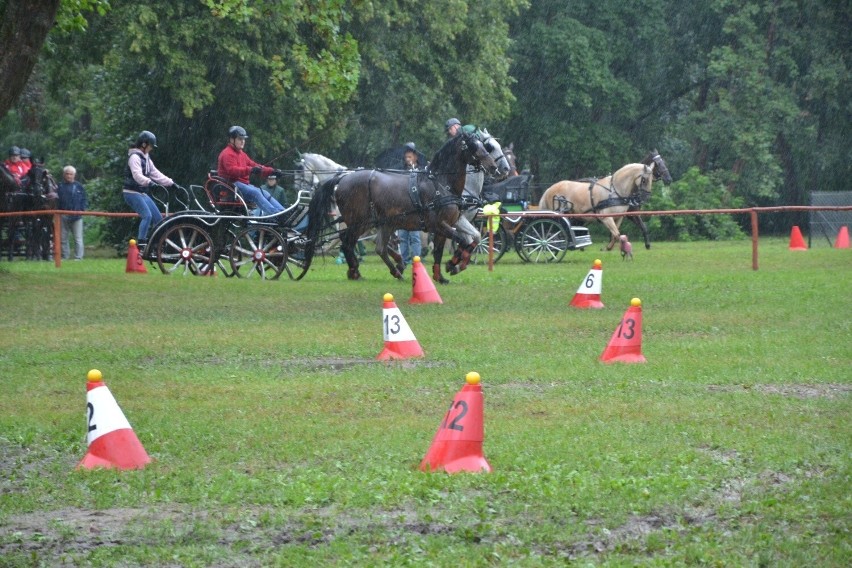 XII Zawody w Powożeniu Zaprzęgami Parokonnymi w Wielgiem