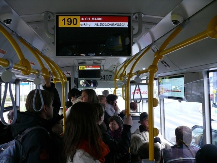 Autobusy linii 131, 501, 519, 522, N31 i N81 w obu...