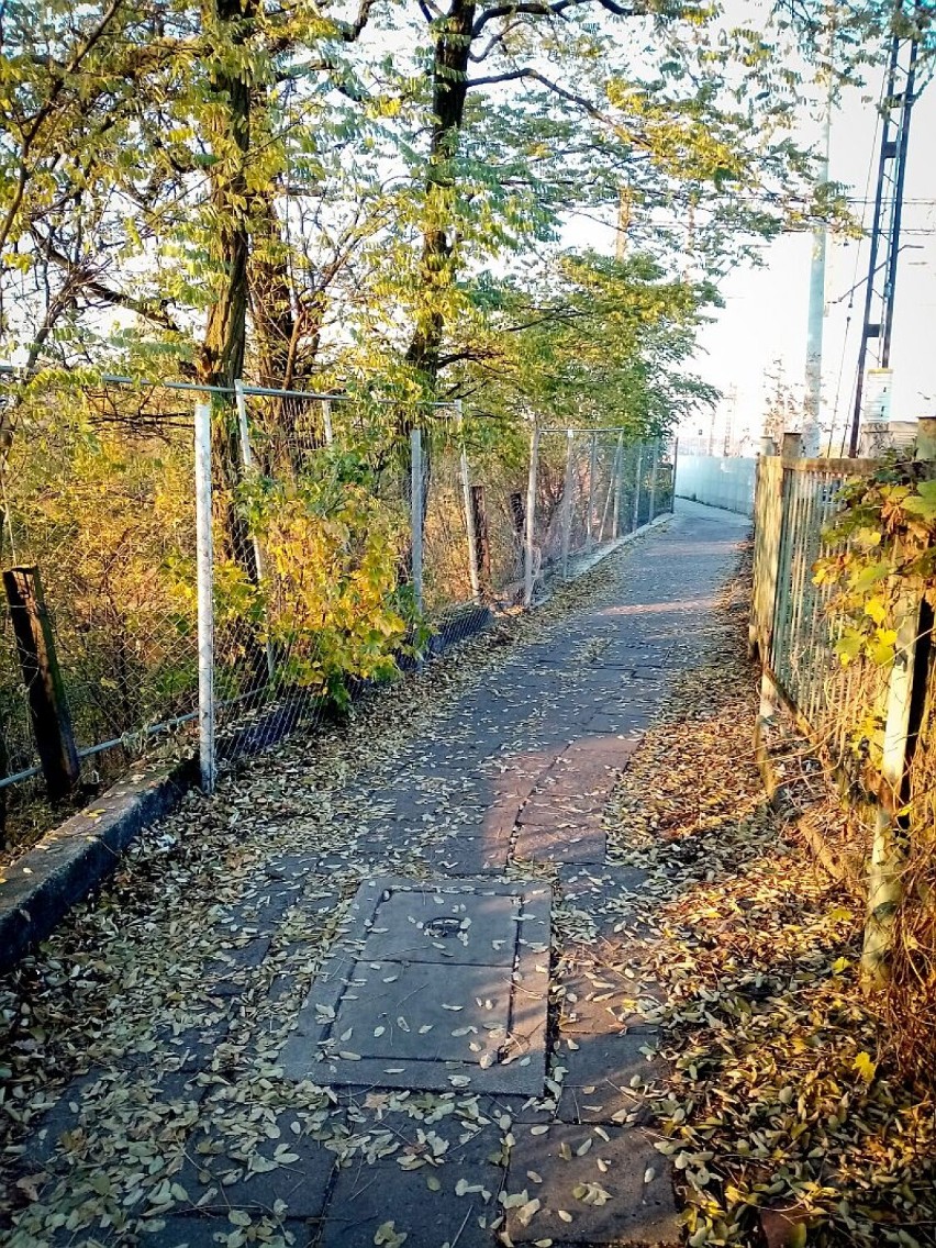 Ciąg pieszy od ul. Zygmunta Augusta w kierunku czarnej drogi...