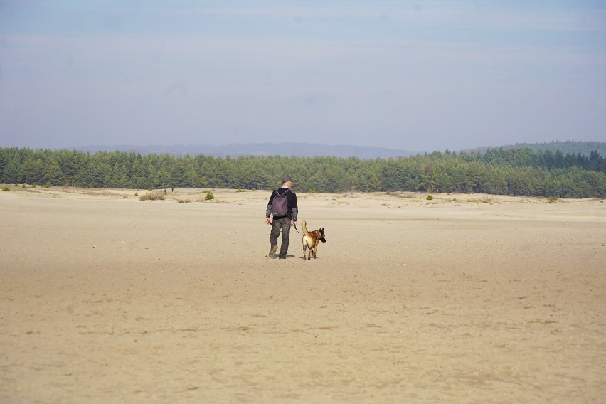 Ludzie z psami na Pustyni Błędowskiej