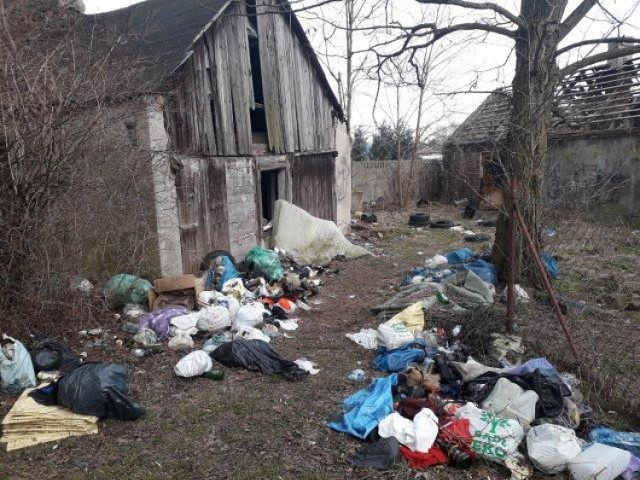 Finansowe kary nie odstraszają ludzi od wyrzucania śmieci w miejscach, które nie są do tego przeznaczone