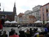 Legnica. Otwarcie Indywidualnych Mistrzostw Europy w Szachach [Zdjęcia]