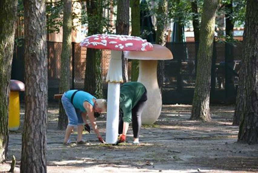 Park Olbrzymich Owadów powiększył się o... grzyby [FOTO]