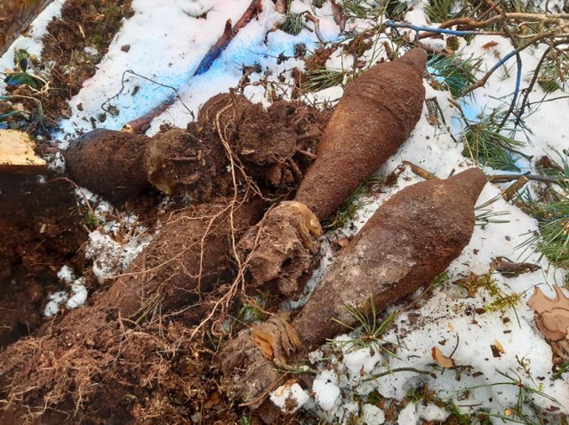 Łącznie w Taszewie znaleziono osiem sztuk radzieckich granatów moździerzowych