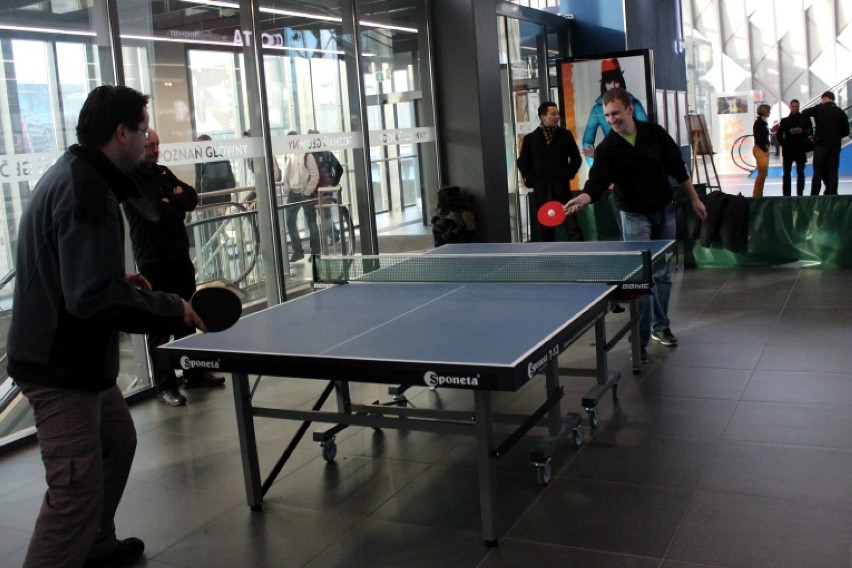 ping-pong, tenis stołowy