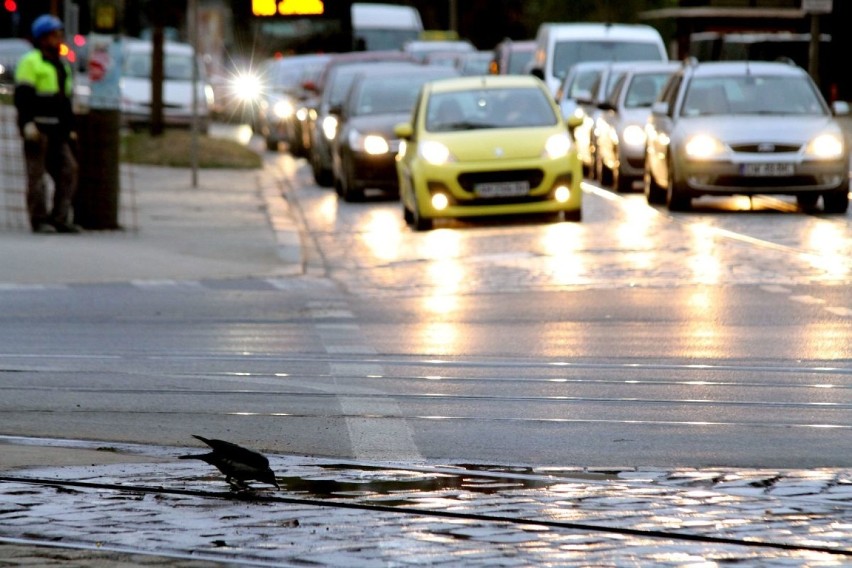 Awaria na skrzyżowaniu Borowskiej i Dyrekcyjnej - tramwaje pojadą inaczej, zamkną dwa pasy ruchu