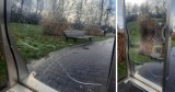 Krzywe zwierciadła w Parku Feliksa kolejny raz uszkodzone. Dyrektor Ilona Jakubowska apeluję! 