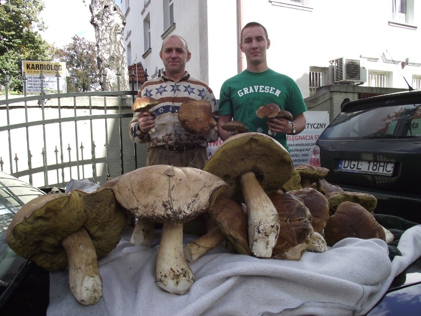 Krzysztof i Maciej Garlińscy uzbierali 16 kilogramów...