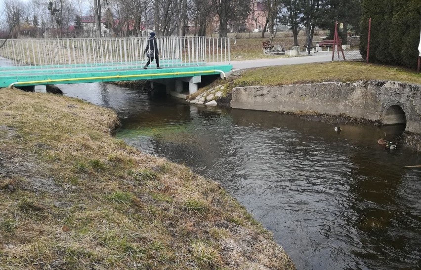 Chełm. Posprzątają koryto i brzegi Uherki oraz zalew Żółtańce. Zobacz zdjęcia