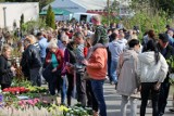 Wiosenne Targi Rolno-Ogrodnicze AGROMARSZ w Marszewie pod Pleszewem. Tłumy zwiedzających i rekordowa liczba wystawców