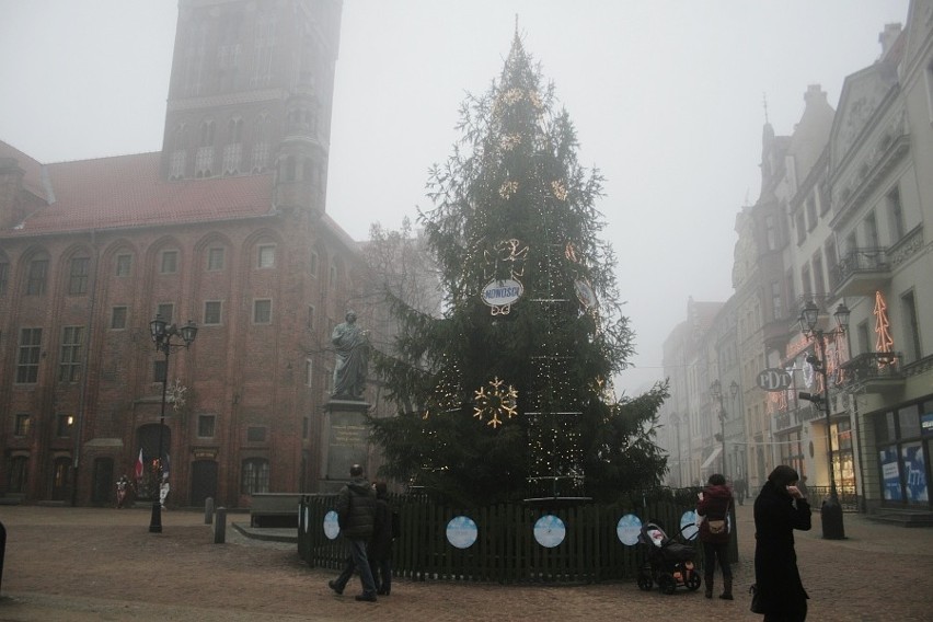 Toruń: Świąteczna choinka na starówce [ZDJĘCIA]