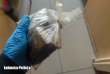 Policjanci z Nowej Soli zatrzymali narkotykowego dilera. Miał blisko 500 porcji środków odurzających! 