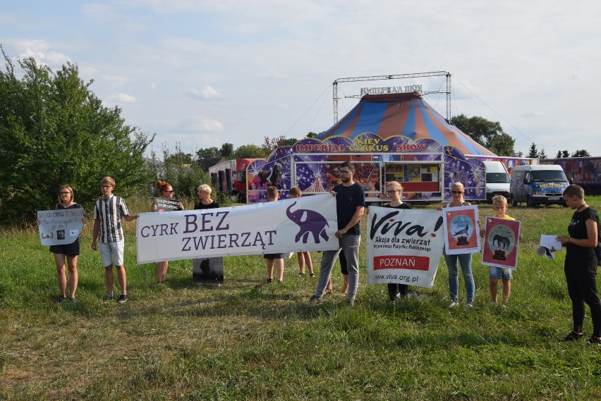 Obrońcy zwierząt będą protestować pod cyrkiem Zalewski w Kościanie