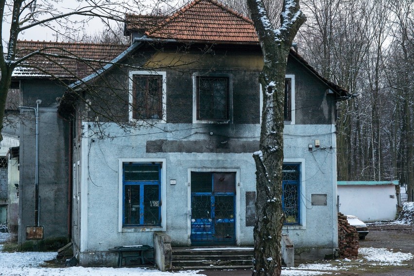Tak wygląda ruina budynku po byłym GS w Bolesławiu, przy...