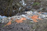 Przybywa śmieci na dzikim wysypisku w Borkowie