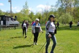 Rajd Nordic Walking w Hajnówce. Kilkadziesiąt osób maszerowało z kijkami [ZDJĘCIA]