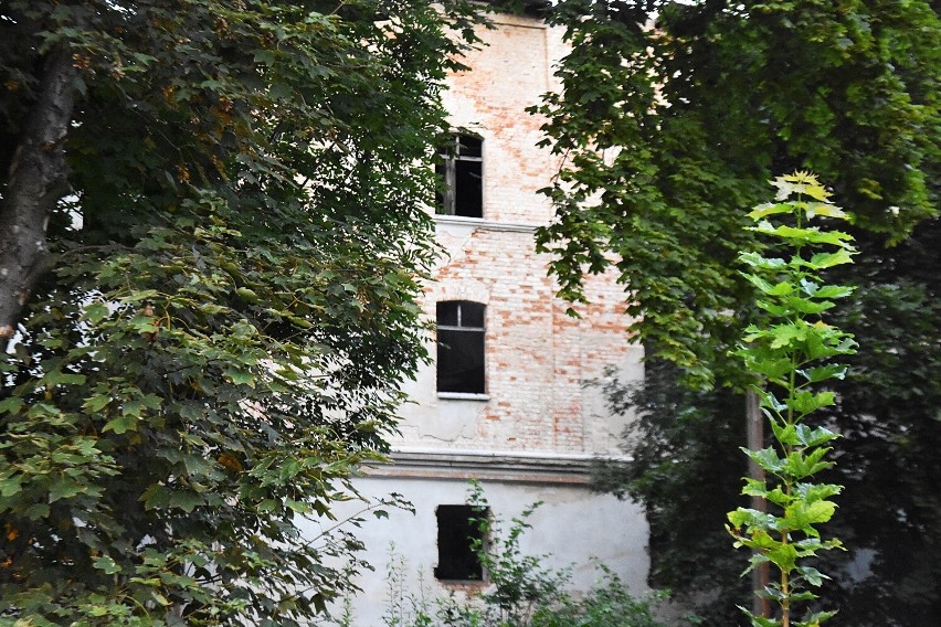 Obiekt na ul. Młynarskiej w Oleśnicy ma przeznaczenie np. na...