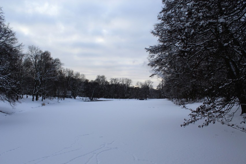 Zima 2016 w Parku Julianowskim