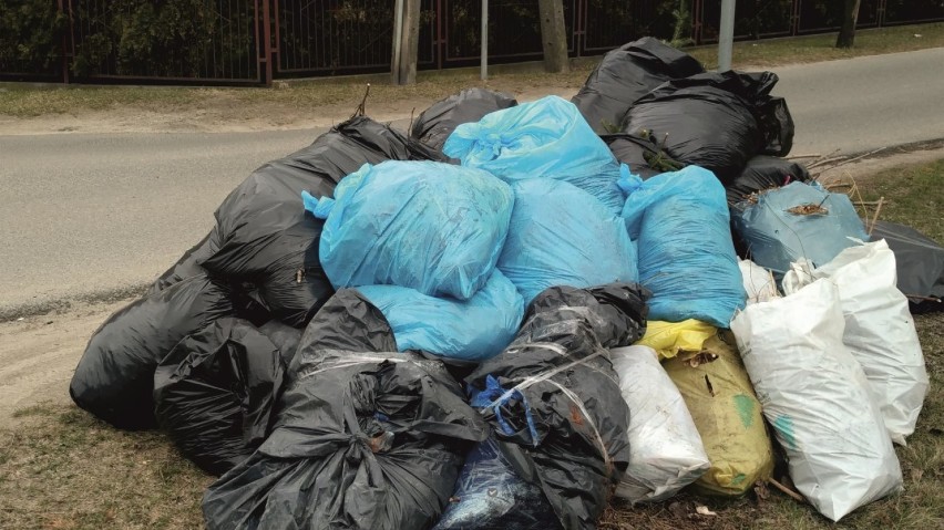 Zbiórka odpadów - od kwietnia obowiązywać będą nowe zasady