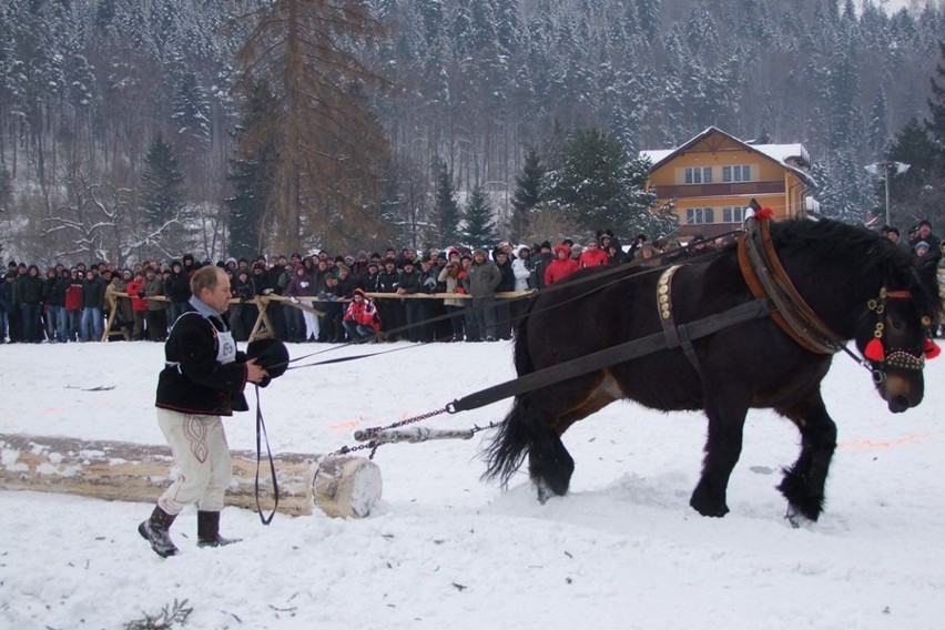 Węgierska Górka: Międzynarodowe Zawody Furmanów 2013 [ZOBACZ ZDJĘCIA]