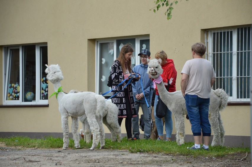 II Dzień Przyjaciela Szkoły w Zespole Szkół Specjalnych w Wieluniu