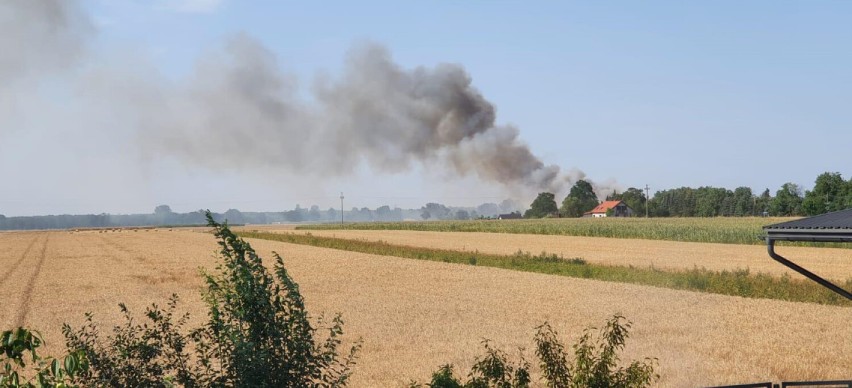 Płonęły hektary zboża w Stawie i Wicherniku. Ponownie ogień pojawił się w Strugach
