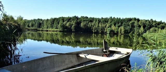 Działania prowadzone są na terenach należących do gminy Brzeszcze. Cały obszar przeznaczony do odkomarzania wynosi 70 hektarów