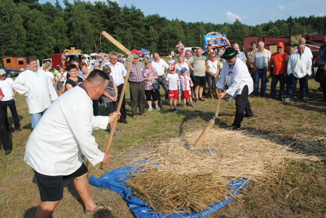 Przepis na udane dożynki?  Dobra pogoda, darmowa grochówka, najlepiej strażacka, dużo stoisk pań z kół gospodyń wiejskich, oczywiście z jadłem i napojami, dużo też muzyki i śpiewów na scenie, humoru, do tego moc atrakcji dla dzieci, obowiązkowo muszą być dmuchańce... Otowice w gminie Dąbrowa Chełmińska  tę receptę wypełniły organizując dożynki gminne. Najpierw była msza święta polowa i później ceremoniał  dożynkowy...  Potem wiele się działo, na scenie orkiestra dęta (z Chełmży) i zespoły nie tylko z  gminy. Były też najróżniejsze pokazy, m.in. strażaków i młócki (także cepami). Sołectwa i panie z kół  gospodyń wiejskich prześcigały się w pomysłach. I najważniejsze - były tłumy... Na zdjęciu pokaz młócenia wiekową młockarnią, a potem cepami. Każdy mógł spróbować.


Zobacz wideo: Wszystkie ceny w górę - susza niszczy plony | wzrost cen żywności

