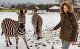 Dzień Zebry. Poznajcie niesamowitą historię Ayi z Zoo Borysew koło Poddębic ZDJĘCIA