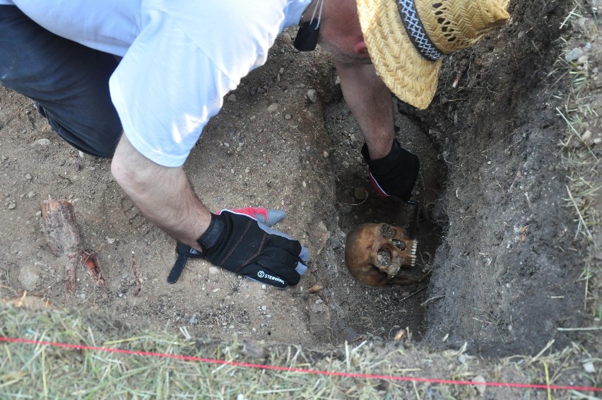 W centrum Sejn, na Wzgórzu św. Jerzego archeolodzy wykopali czaszkę. Prokuratorzy ustalą, kiedy i kto został zakopany [Zdjecia]