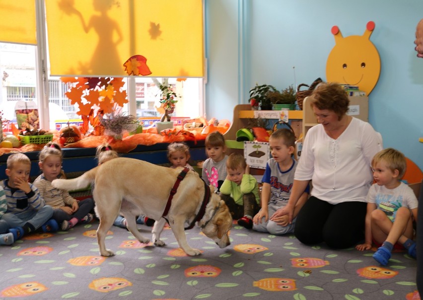 Organizatorzy powiatowej akcji "Z sercem dla zwierząt" gościli w przedszkolu Ciuchcia [zdjęcia]
