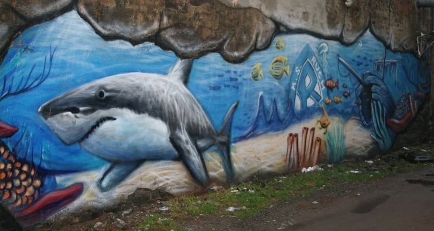 Niesamowite graffiti na murach Chorzowa. Kibice i piłkarze Ruchu Chorzów pokolorowali miasto na niebiesko. ZDJĘCIA