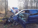 Prokowo. Renault uderzyło w drzewo - poszkodowana kierująca