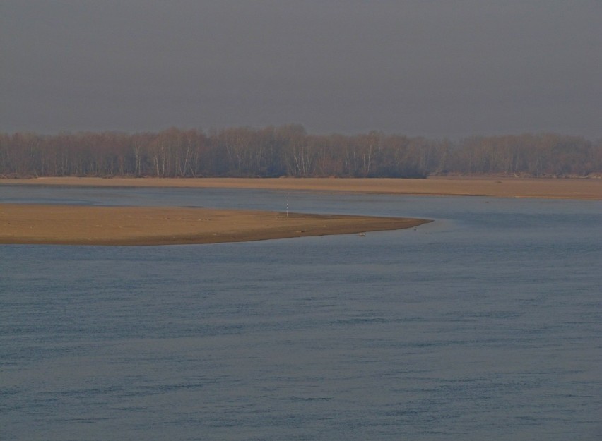 Polska zmaga się z suszą. Niski stan wód na rzekach.