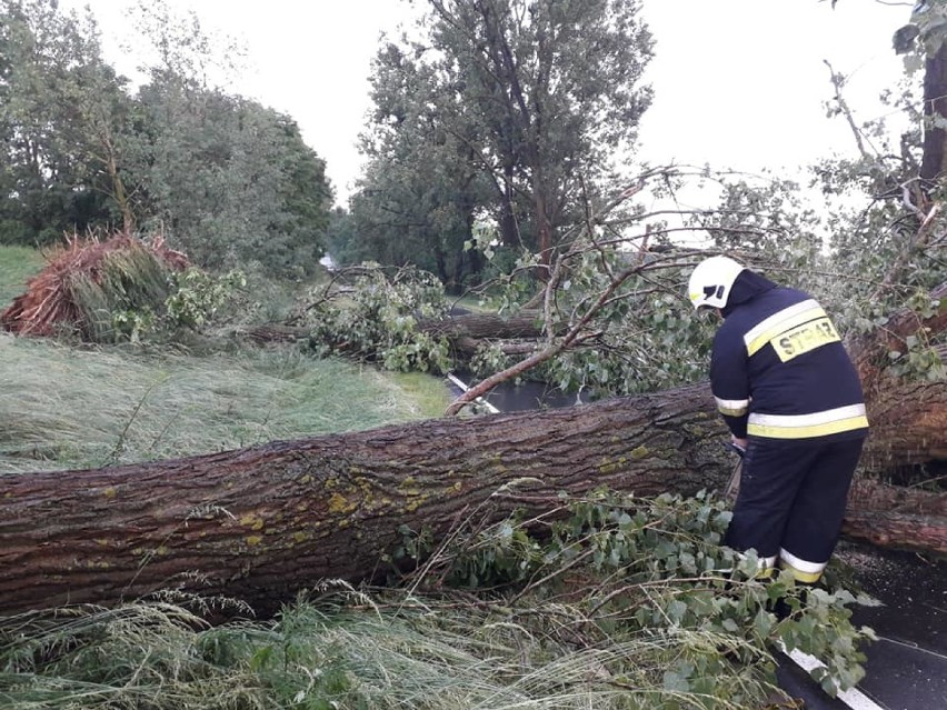 Strażacy odebrali 12 zgłoszeń w związku z nawałnicą, która w...