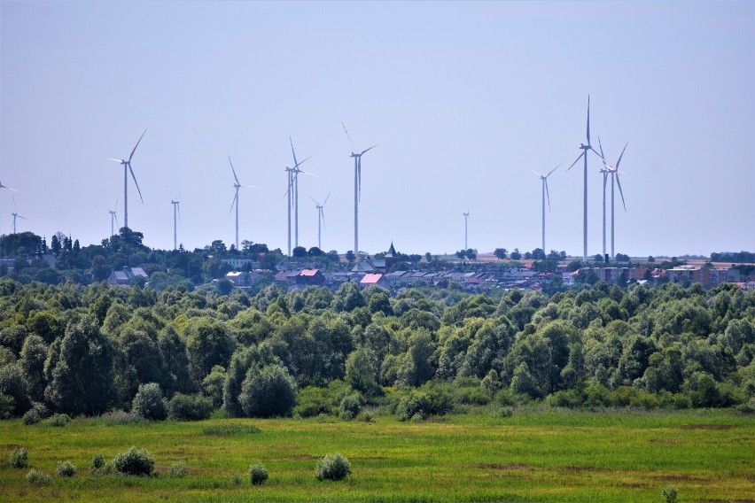 Wieże widokowe nad zalewem Jeziorsko. Jakie widoki można podziwiać z wysokości? FOTO