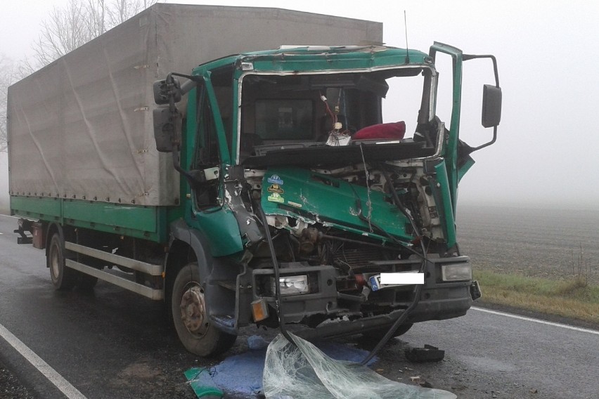 Zderzenie ciężarówek na drodze krajowej nr 62 w Płowcach [zdjęcia]