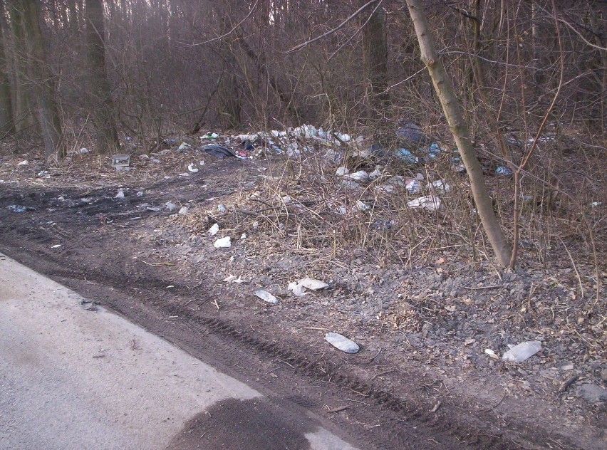 Nielegalne wysypisko śmieci w Zemborzycach Tereszyńskich